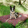 Scout & About Outdoor Bed