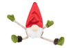 Ned The Gnome